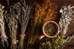 Comment rechercher des guides de soins pour plantes étrangers indisponibles localement