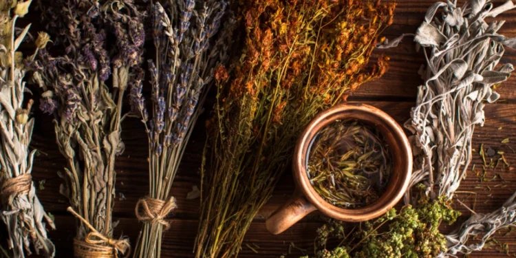 Comment rechercher des guides de soins pour plantes étrangers indisponibles localement