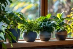 Les plantes d'intérieur résistantes qui ne nécessitent que peu d'entretien